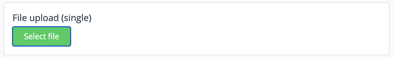 File upload single field example
