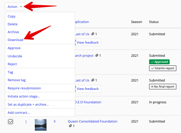 Download in Action drop-down