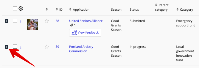 Plus button to view additional columns.png