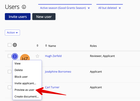 Preview as a user.png